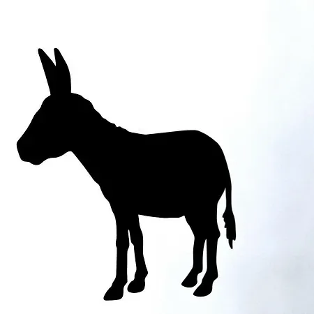 Dom wakacyjny Antiga Casa Da Burra *