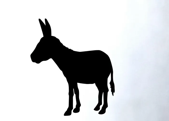 Hébergement de vacances Antiga Casa Da Burra *